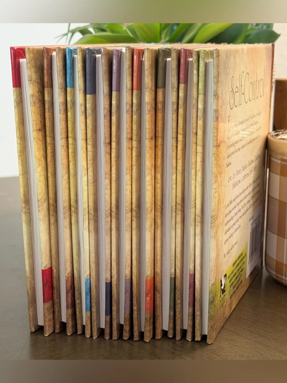 Set of 9 New Fruits Of The Spirit Books